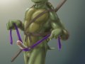 toon_1239083850639_toon_1224879470639_229469_-_Donatello_Teenage_Mutant_Hero_Turtles_Zen.jpg